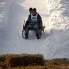 Schalinggen-Rennen, Hornschlitten-Rennen in Pfronten/Kappl