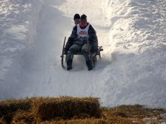 Schalinggen-Rennen, Hornschlitten-Rennen in Pfronten/Kappl