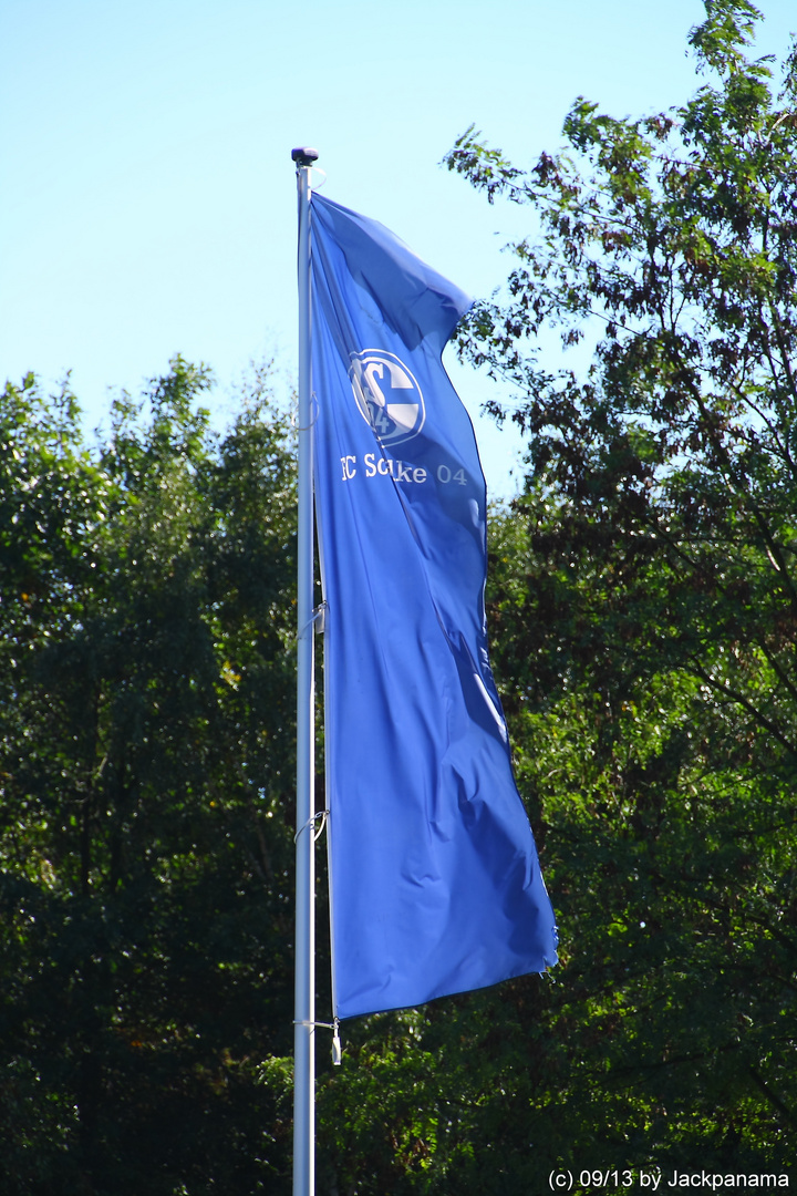 Bild De Schalke 04 Bild De Schalke 04