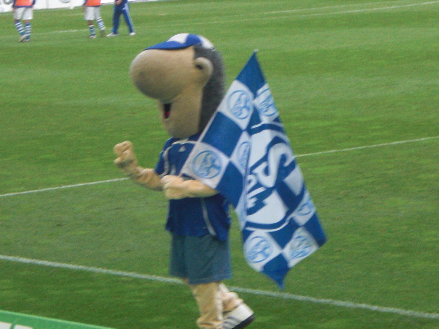 schalke 04 maskotchen