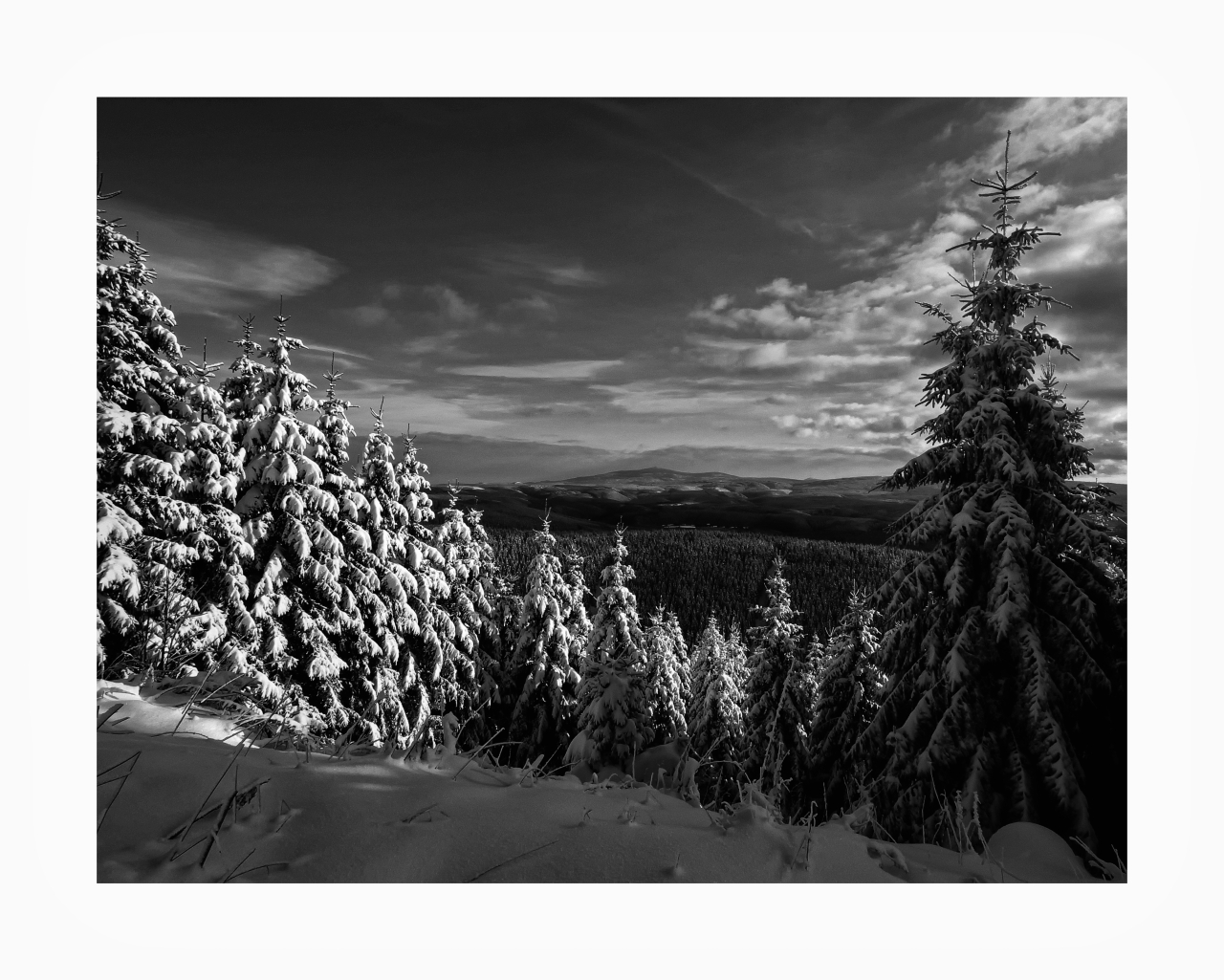 Schalke / Harz " der Harz im Winter "