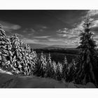 Schalke / Harz " der Harz im Winter "