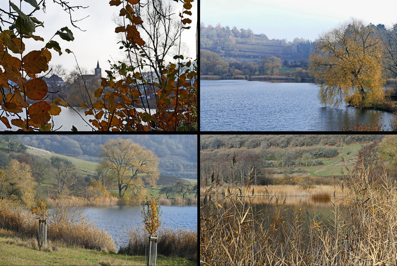 Schalkenmehrener Maar Foto & Bild | landschaft ...