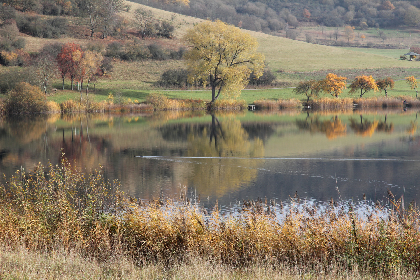 Schalkenmehrener Maar