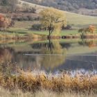 Schalkenmehrener Maar