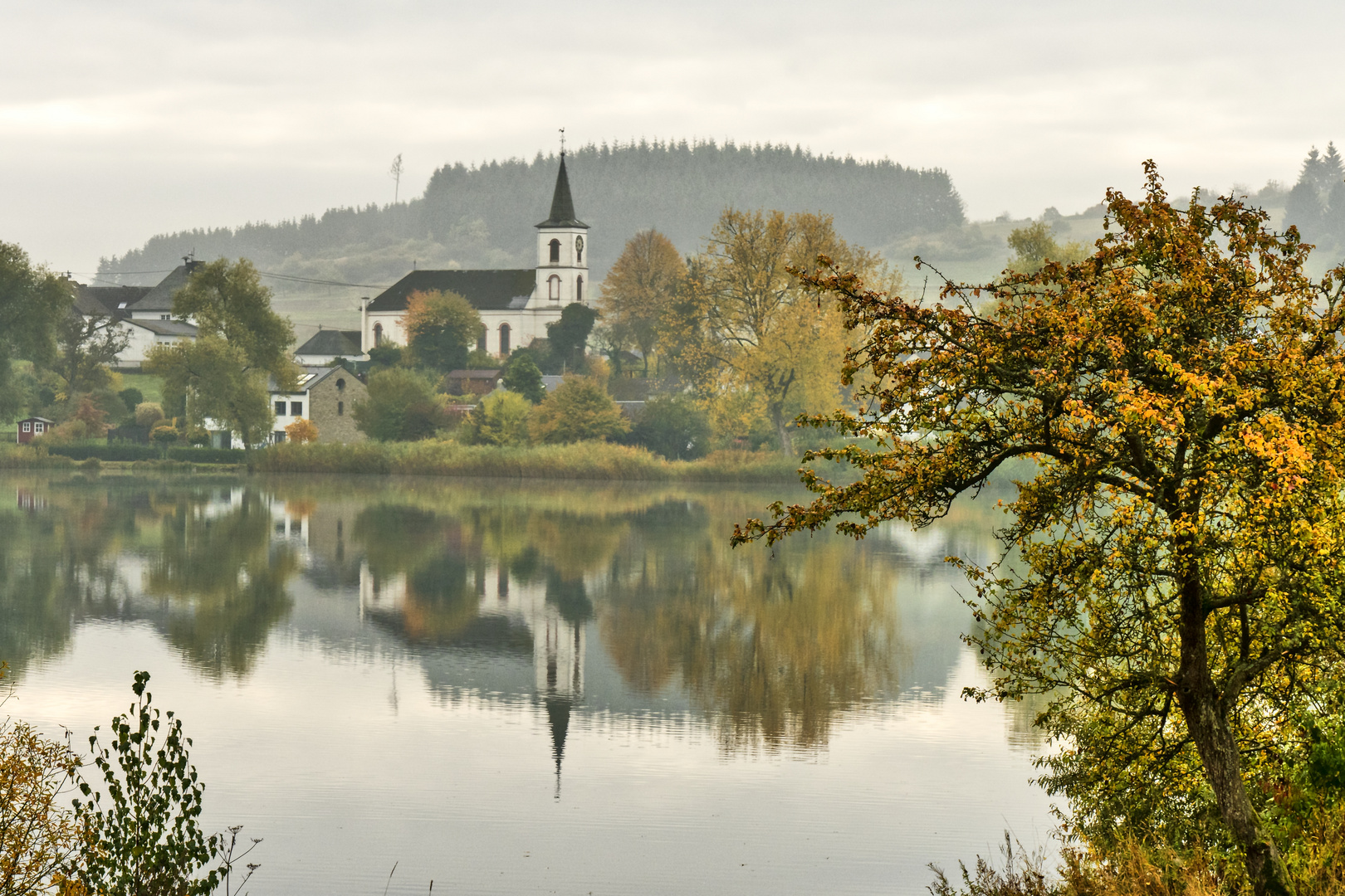 Schalkenmehrener Maar, Eifel 