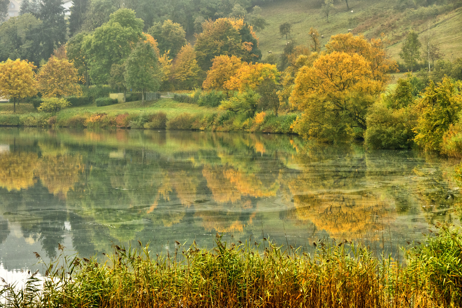 Schalkenmehrener Maar, Eifel