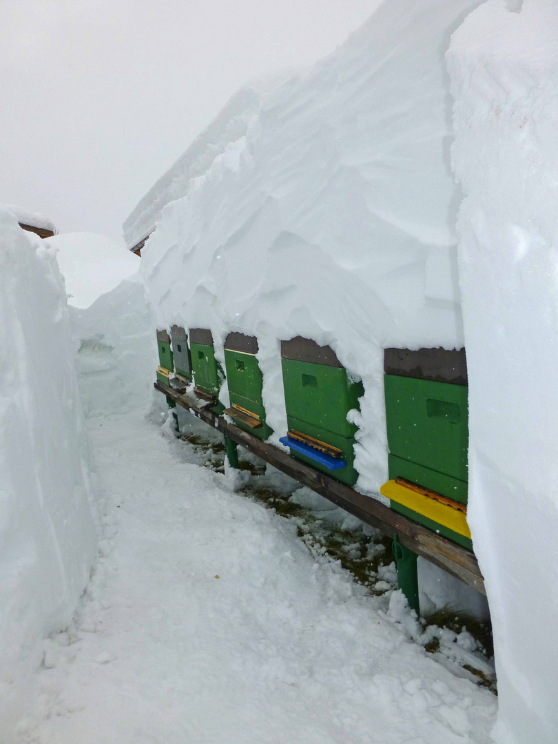 Schallgedämmte Winterruhe