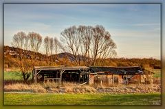 Schandfleck in der Natur