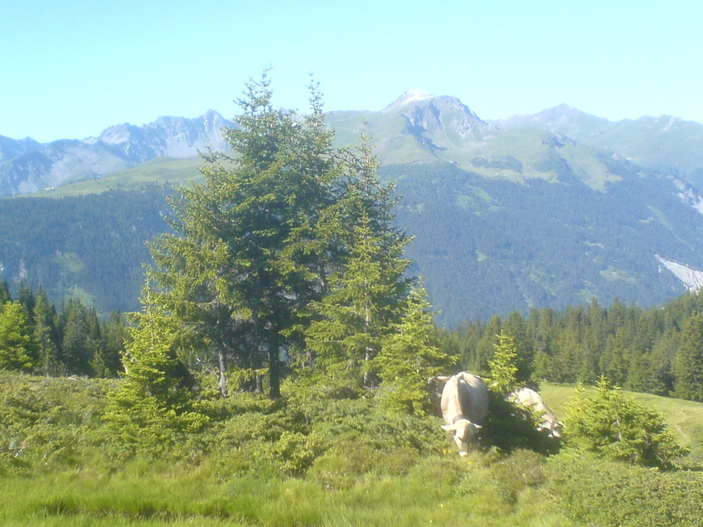 Schanfigger Bergwelt