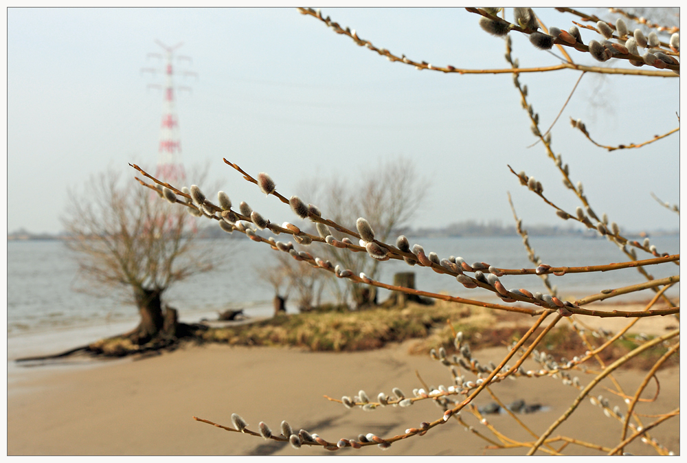 SchanzenFrühling