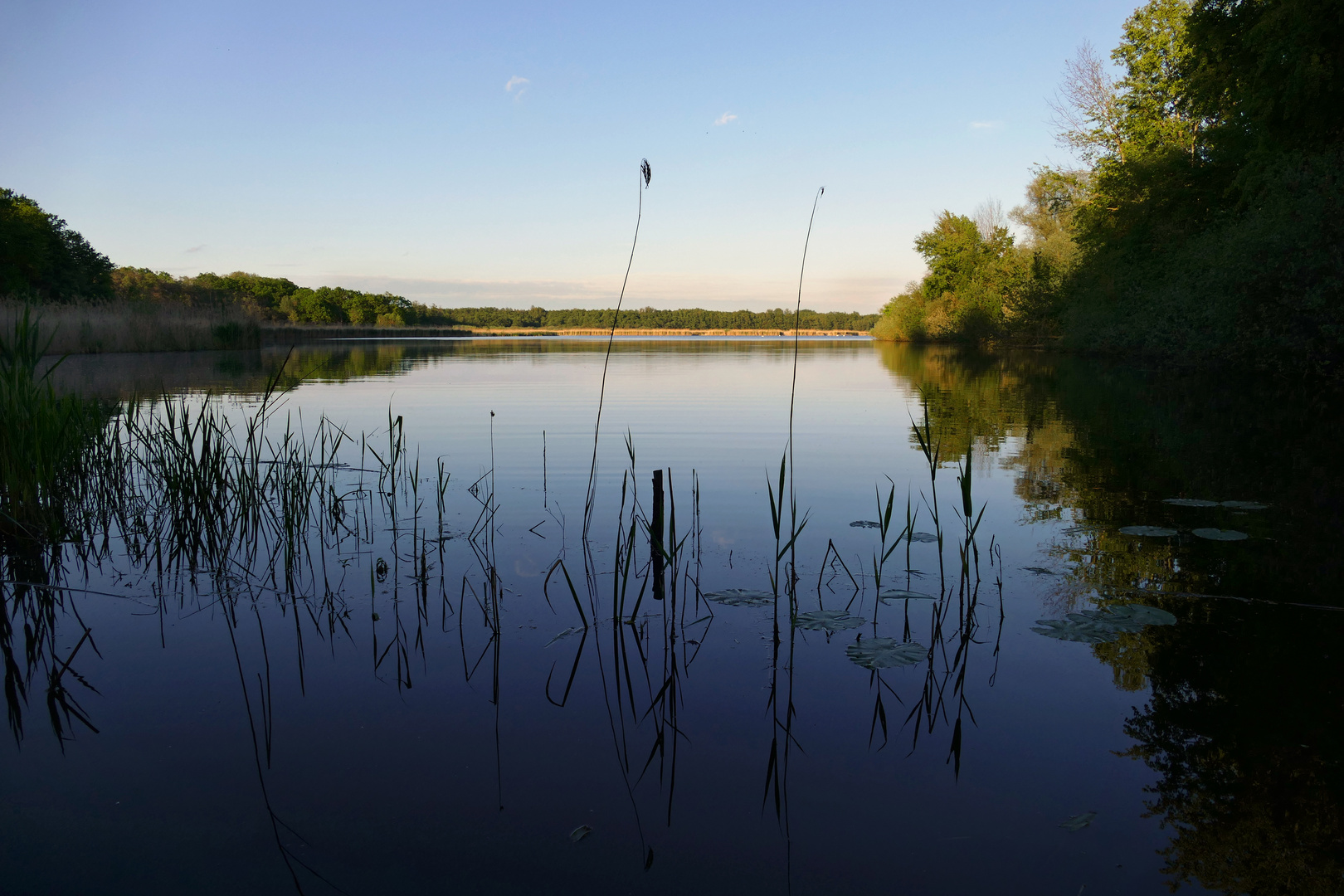 Schapenbruchteich im Abendlicht