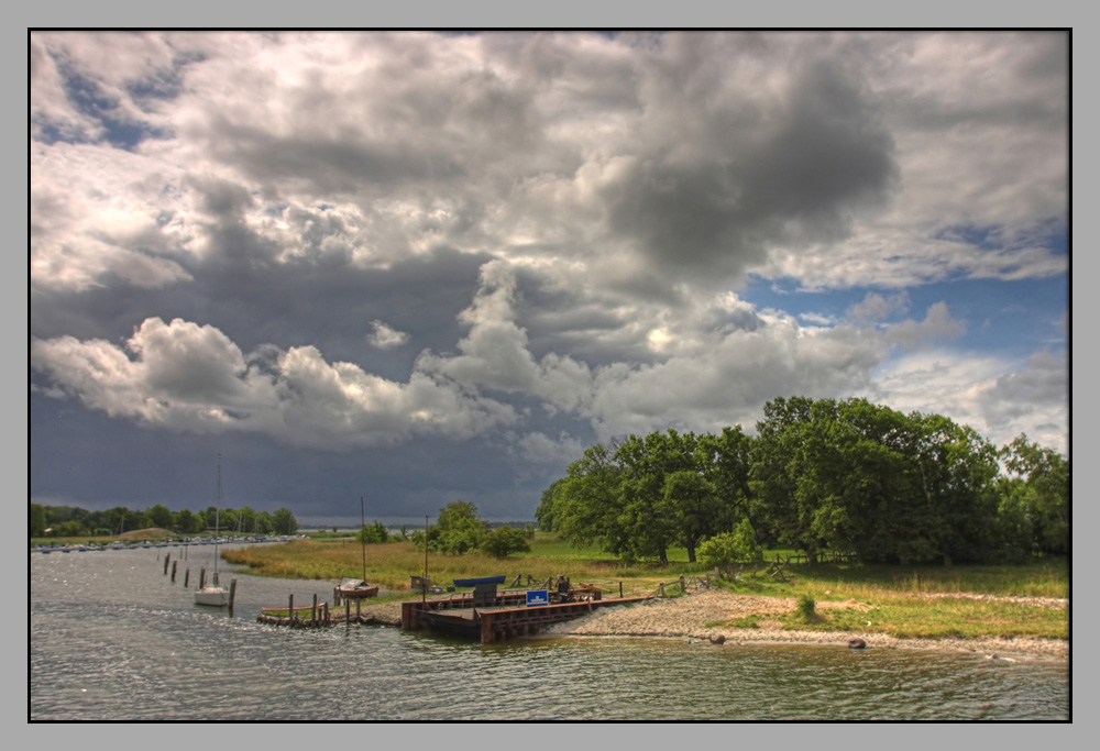 Schaprode auf Rügen (II)