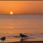 Scharbeutz Sonnenaufgang Herbst 2014