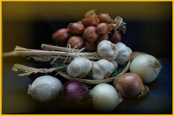 scharf in braun, blau, weiss.