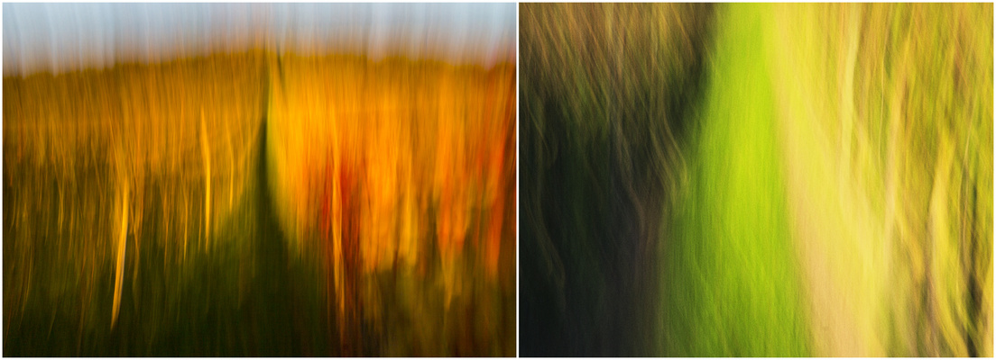 Scharf wär's schöner