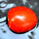 scharfe Tomate im Wasserbad