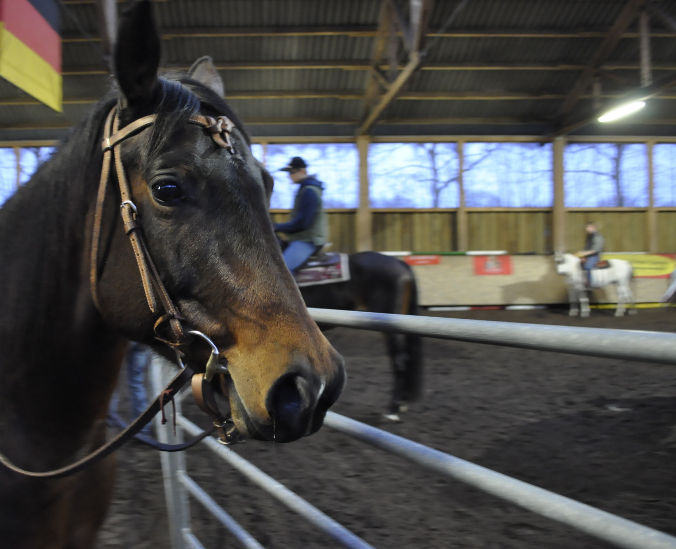 Scharfer Blick