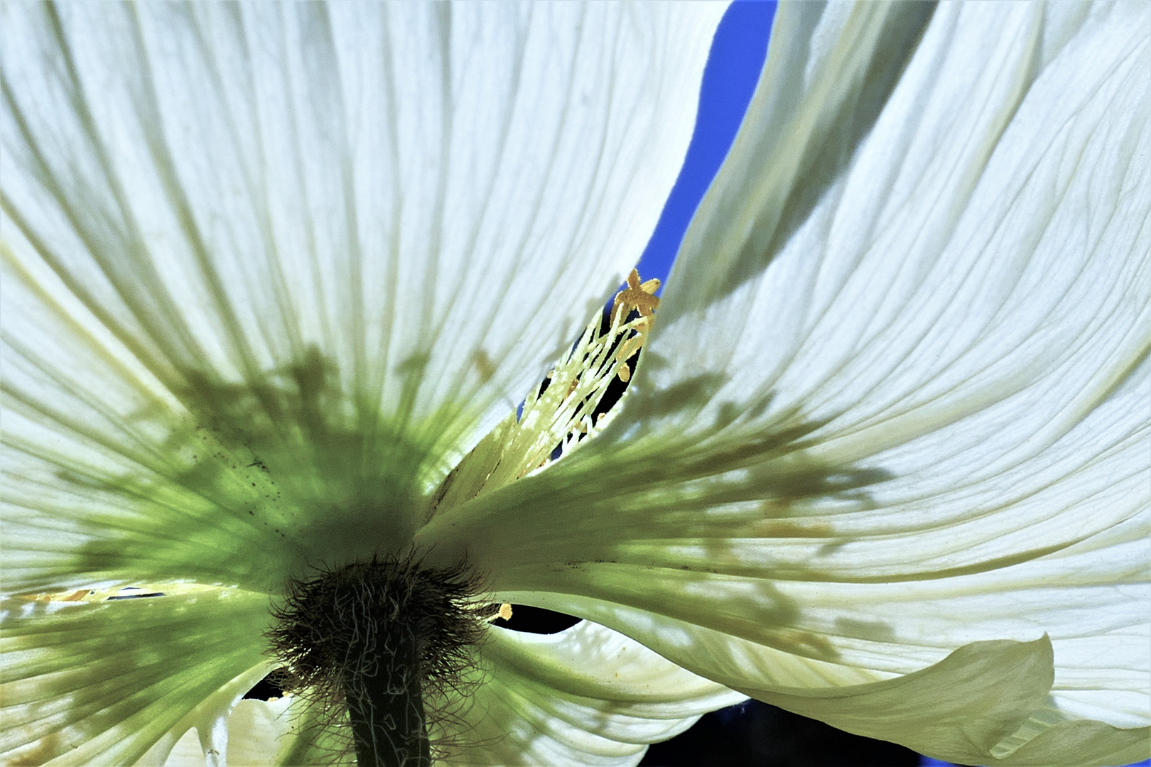 scharfer Durchblick