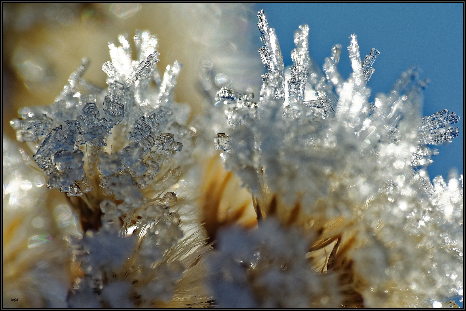 -scharfer Frost - Abkühlung im Sommer