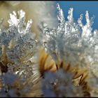 -scharfer Frost - Abkühlung im Sommer