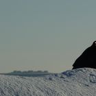 scharfer vogel vor hallig