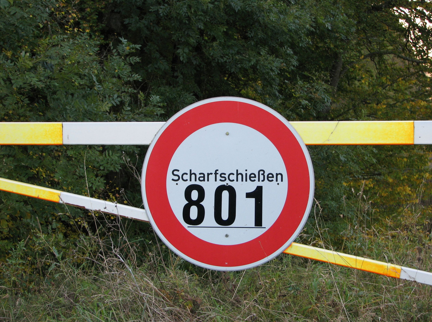 Scharfschießen