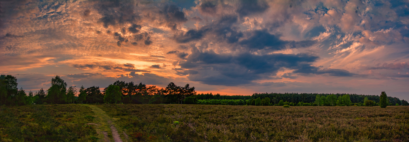 Scharmbecker Heide