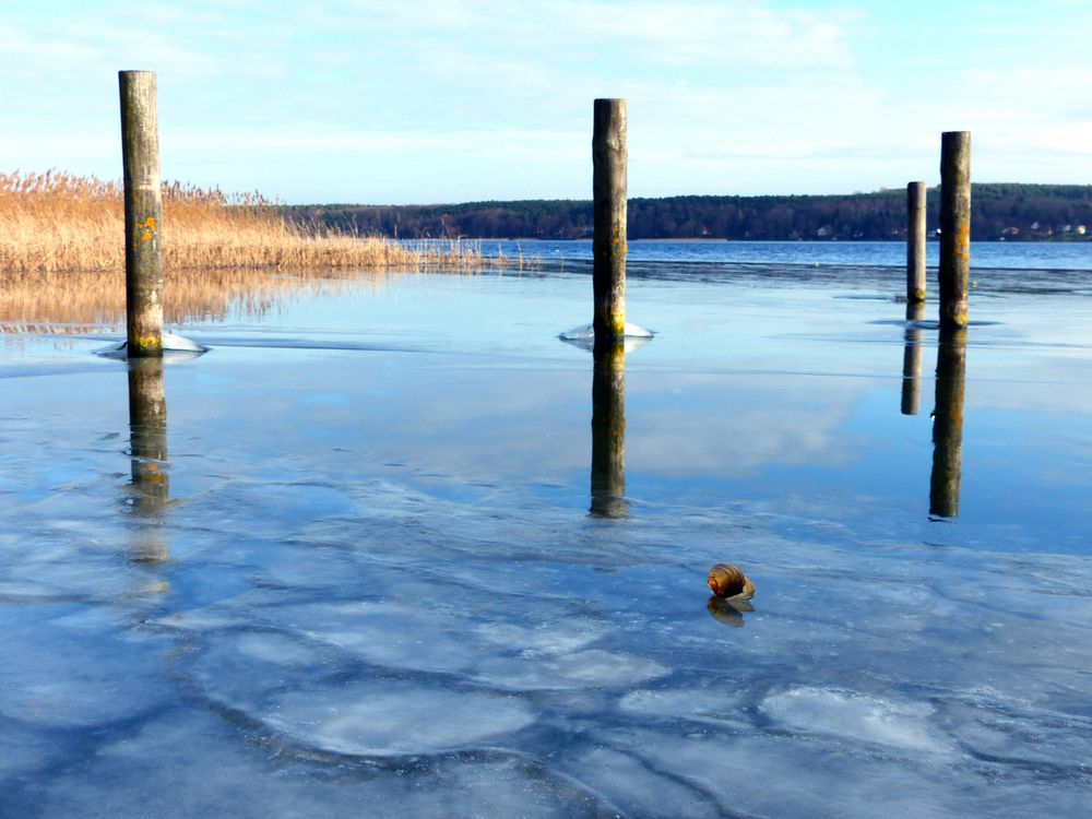 Scharmützelsee im Winter