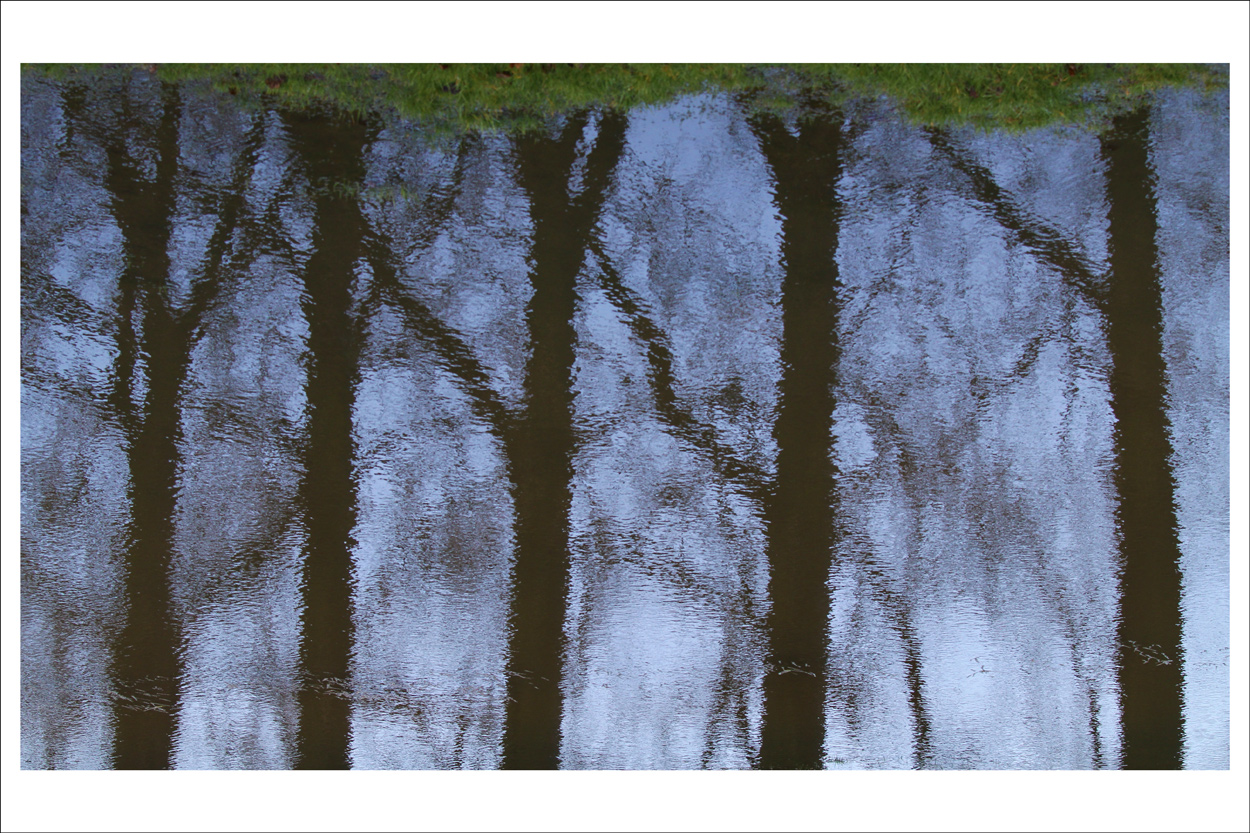 Schaten auf einer Wiese