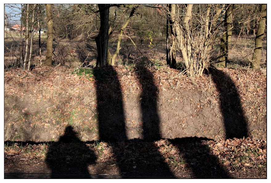 schatten