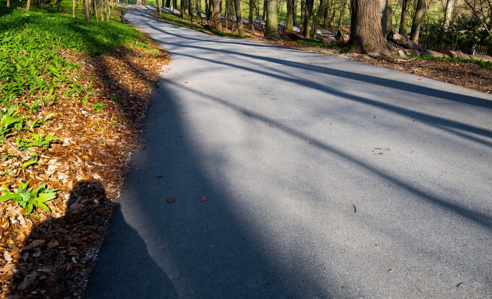 Schatten 3 Foto & Bild | landschaft, lebensräume, garten