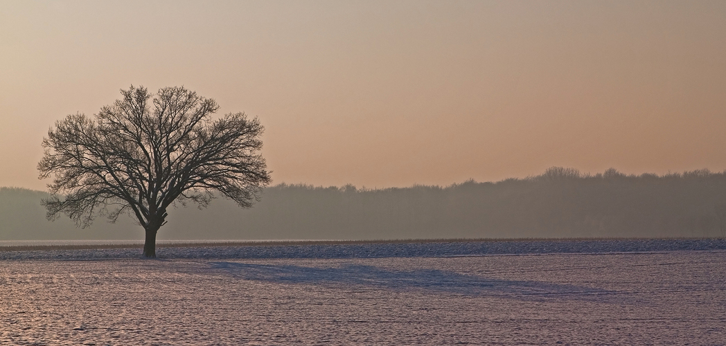 Schatten...