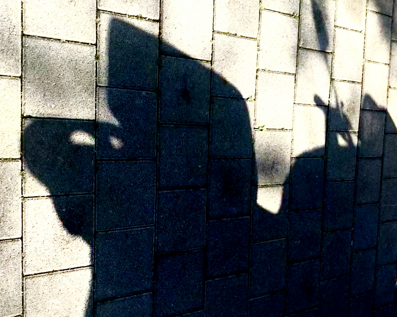 Schatten 