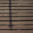 Schatten