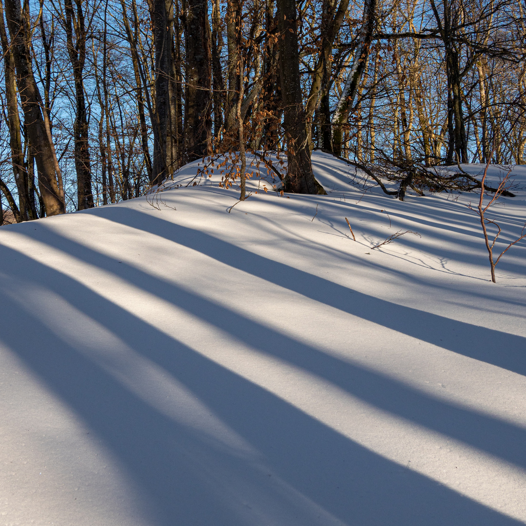 Schatten