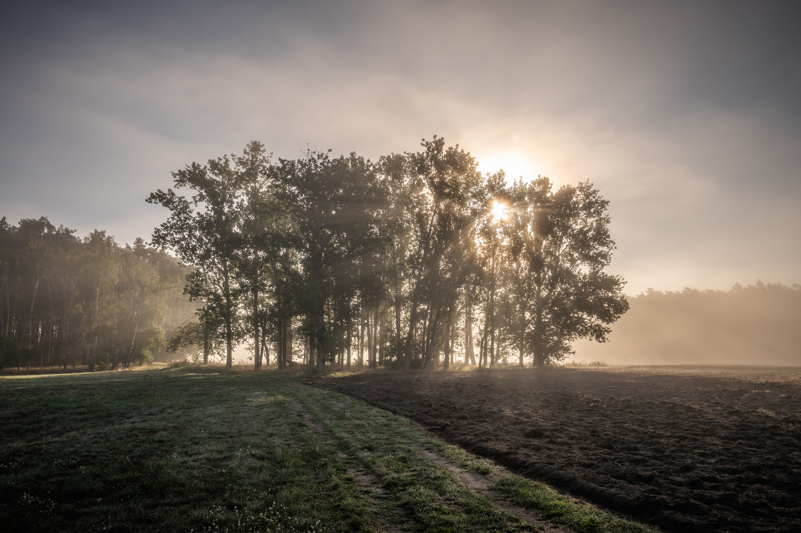 Schatten