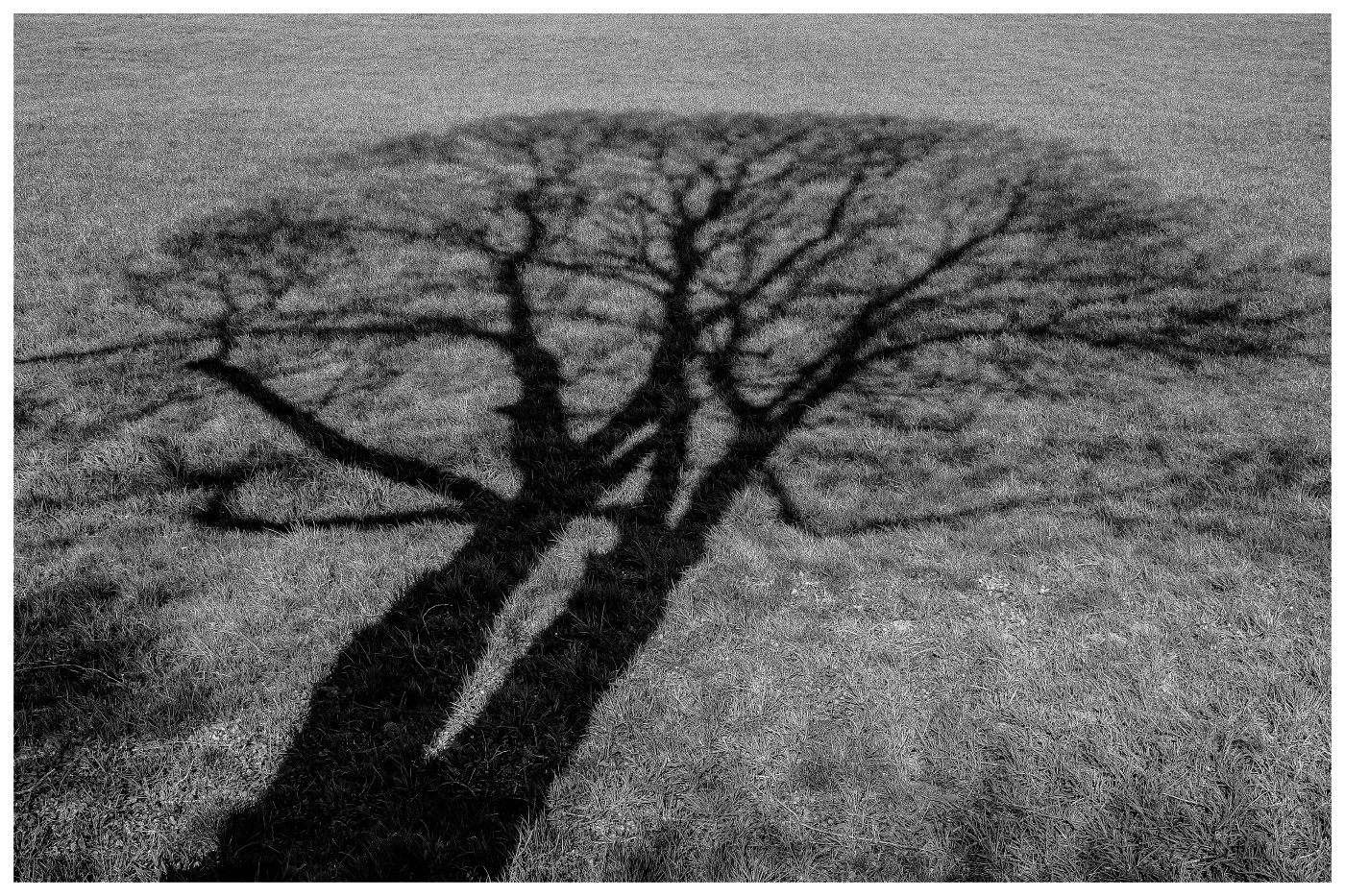 Schatten