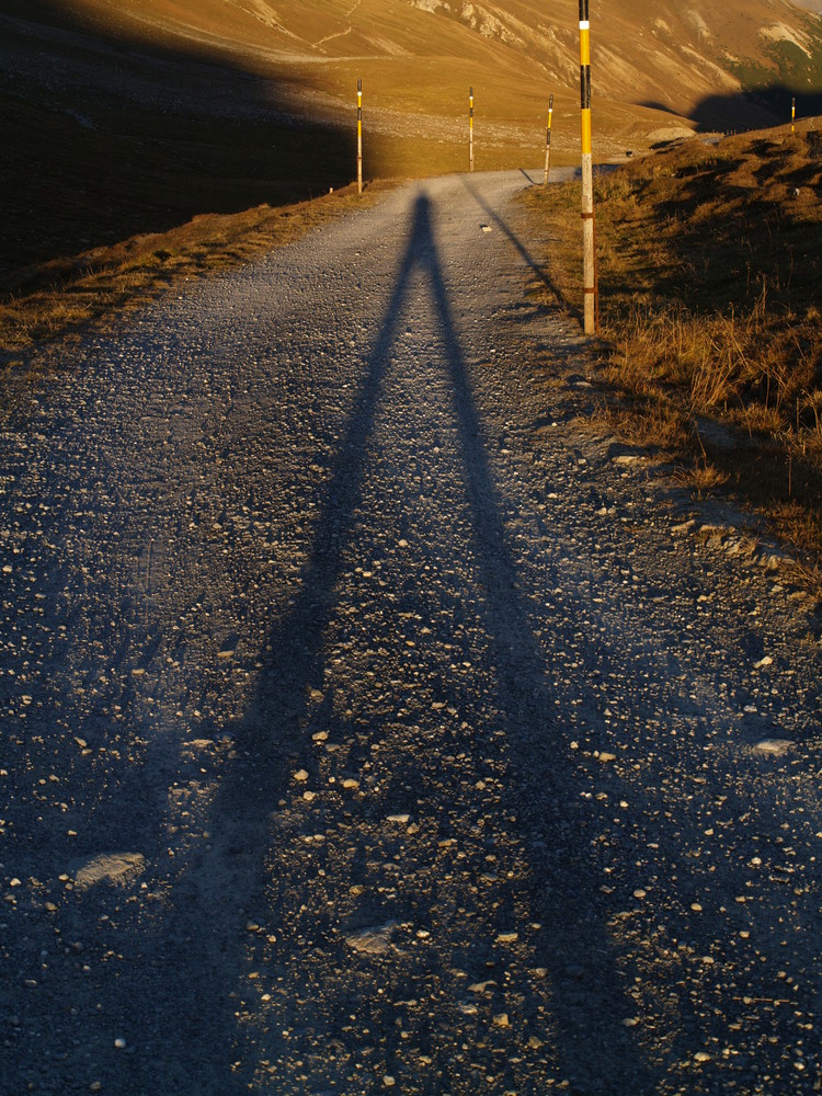 Schatten am Albula