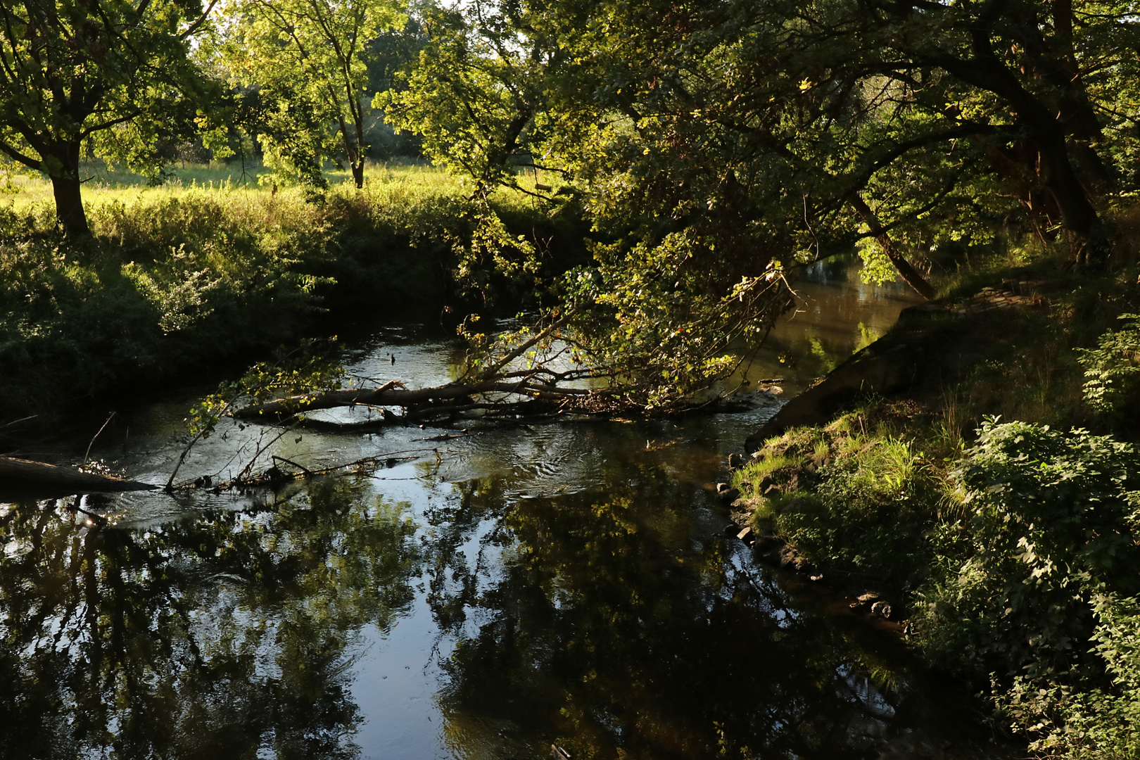 Schatten am Fluss