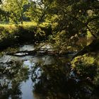 Schatten am Fluss