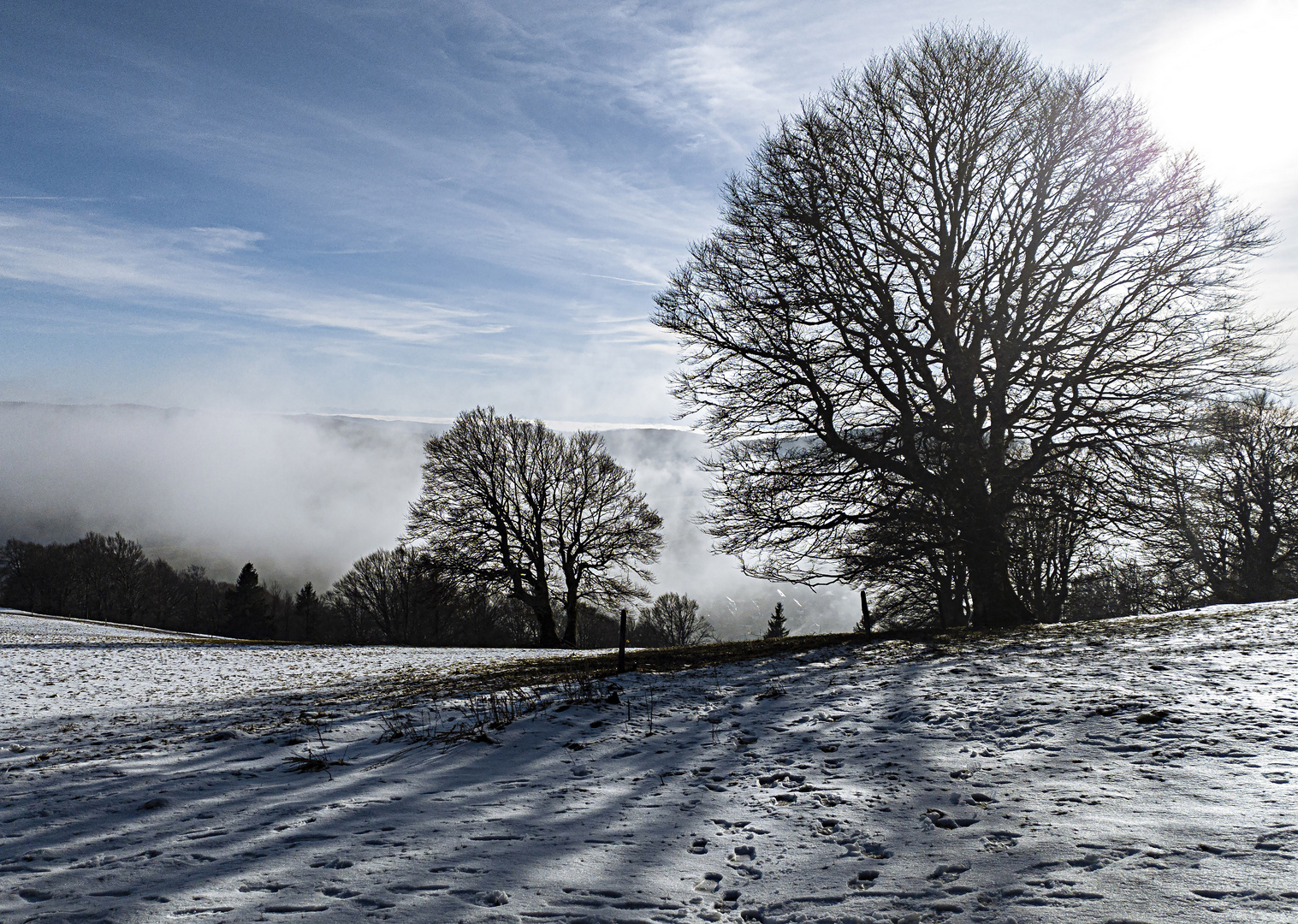 Schatten am Schauinsland