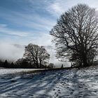 Schatten am Schauinsland