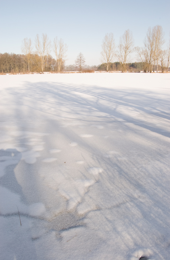 Schatten am See