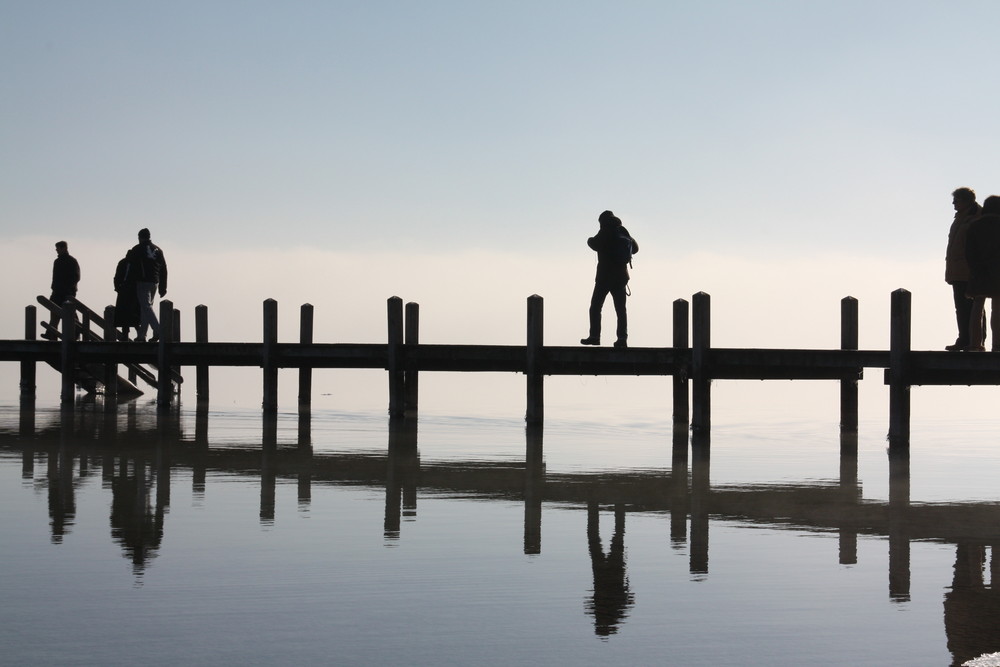 Schatten am Starnberger See