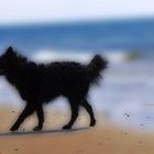 Schatten am Strand