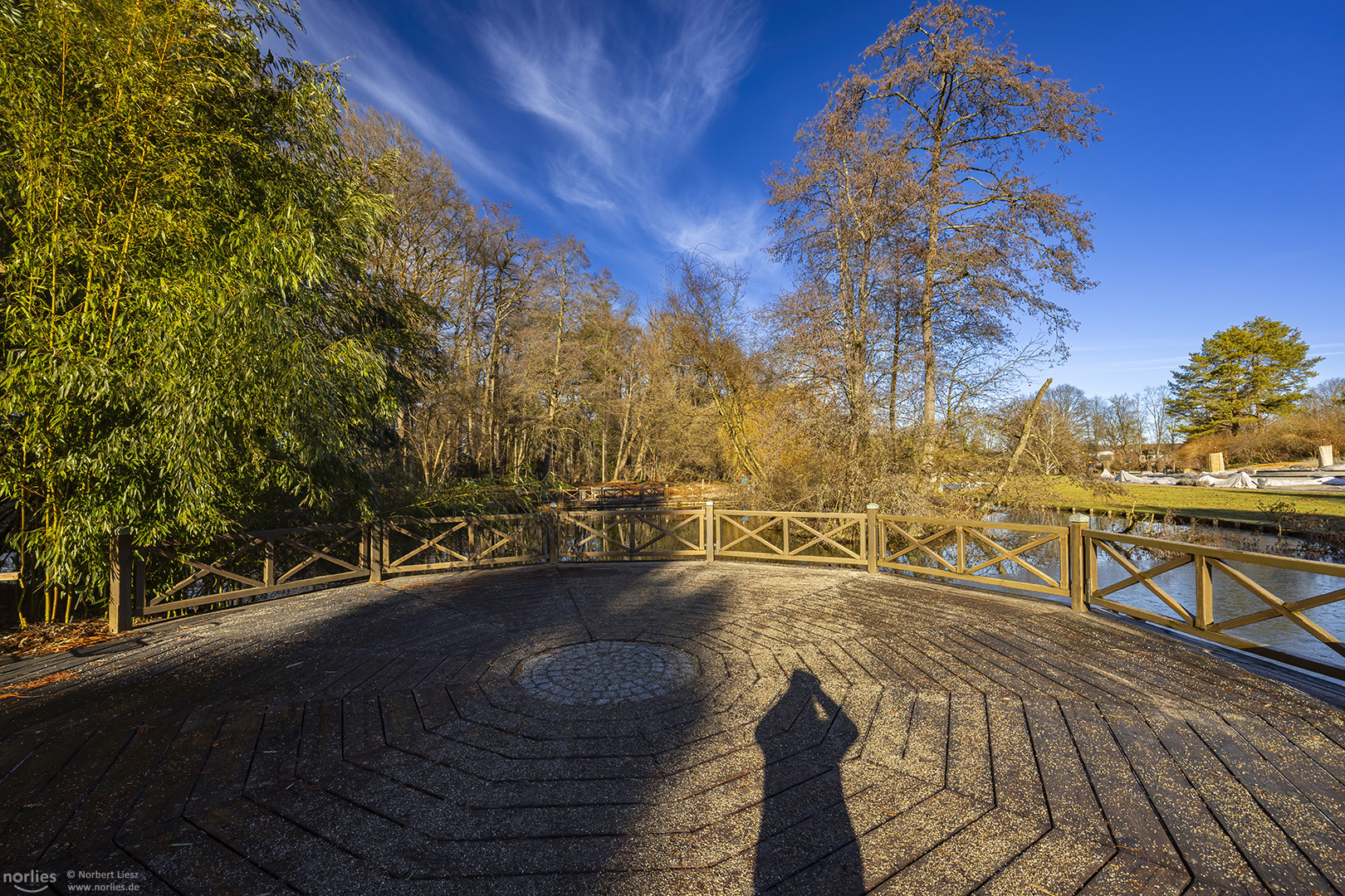 Schatten am Teich