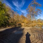 Schatten am Teich