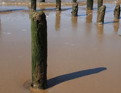 schatten an der elbe