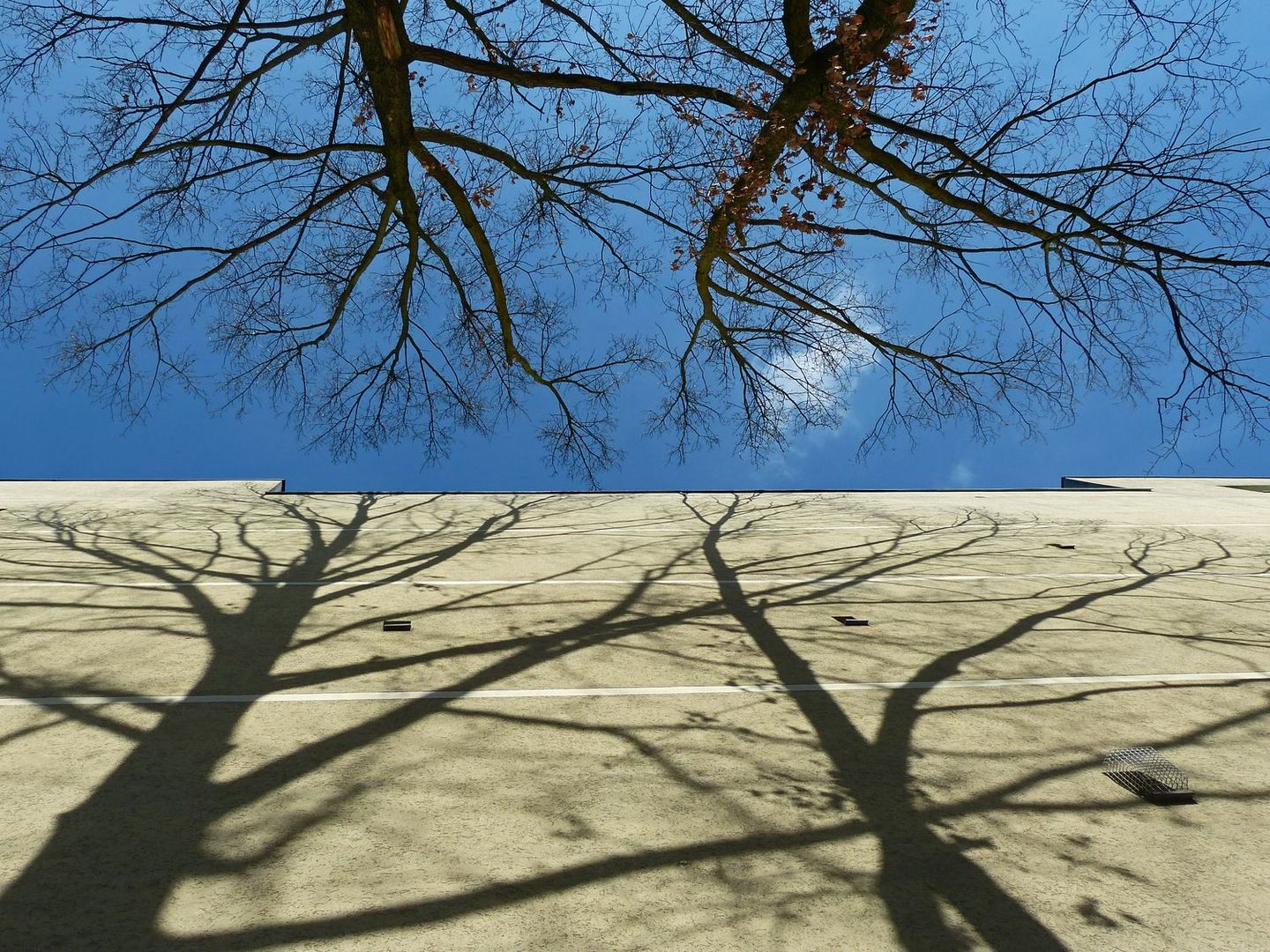 Schatten an der Wand